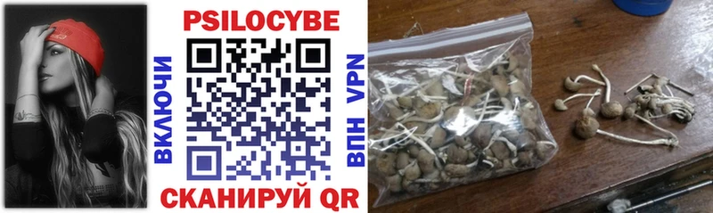 купить  цена  Змеиногорск  Галлюциногенные грибы MAGIC MUSHROOMS 